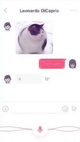 DDOS攻击教程软件程序维护界面